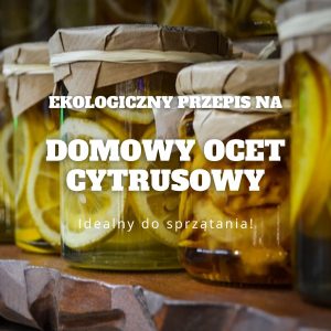 ekologiczny dom