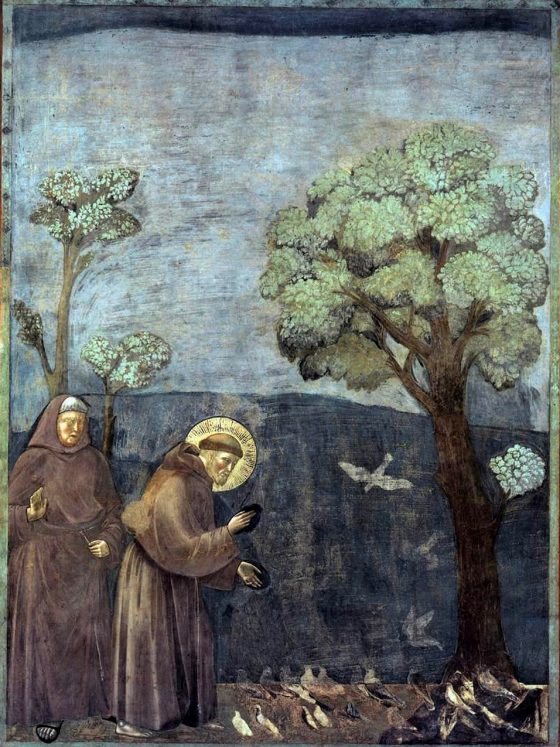 Święty Franciszek z Asyżu patron ekologów
